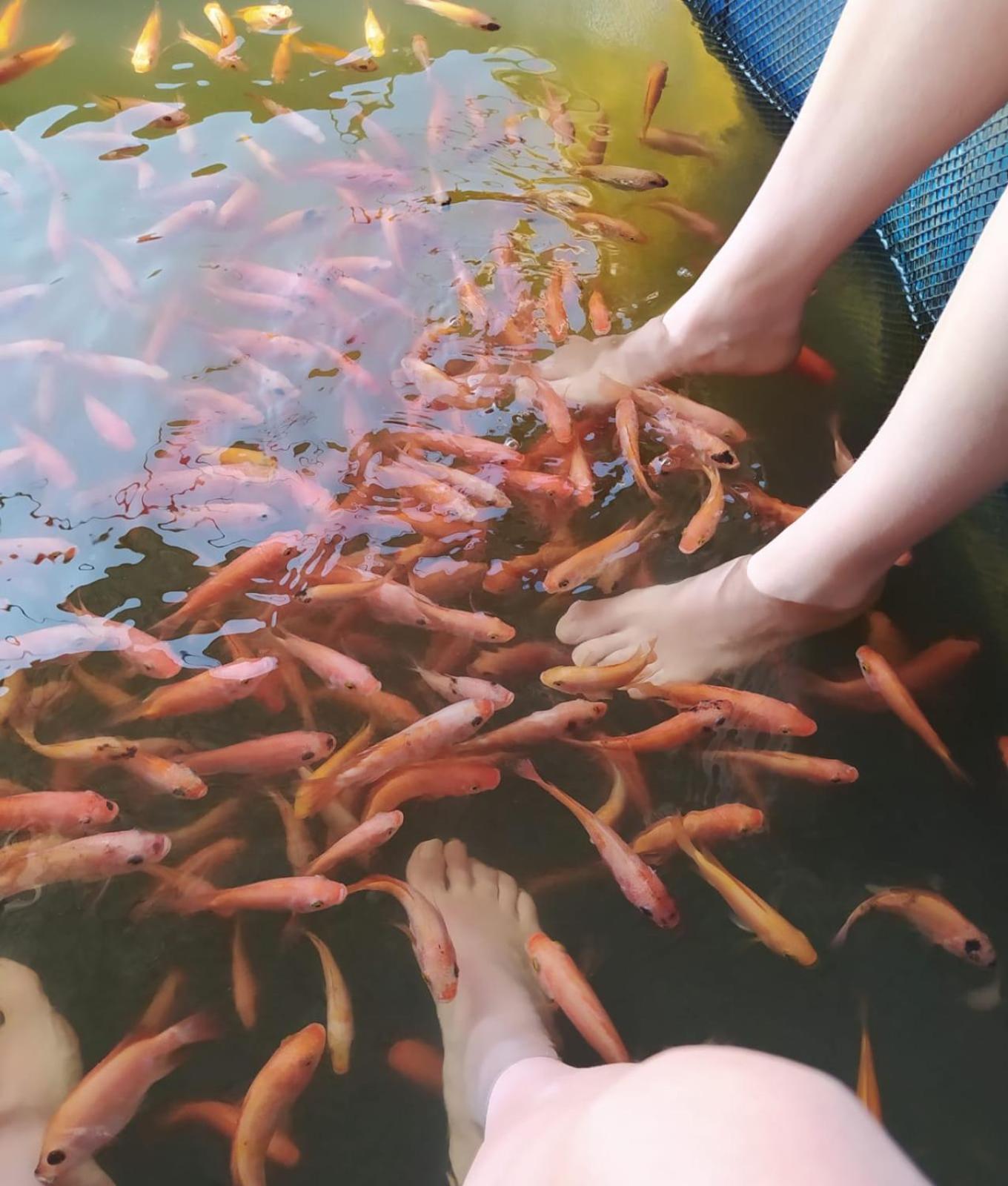 Lake Lane Guest Rest 코갈라 외부 사진